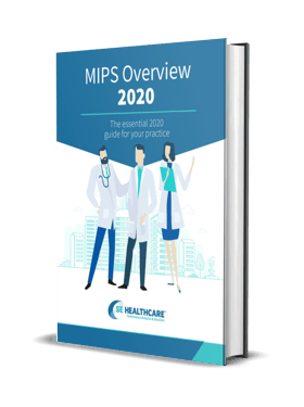 Image of MIPS Overview for 2020: The Essential 2020 Guide for Your Practice transcribed on front of book.